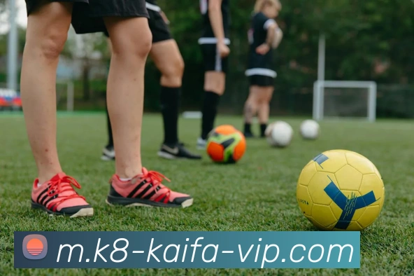 k8凯发体育服务体系